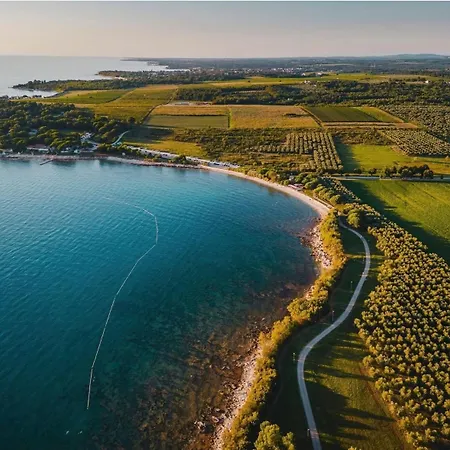 Beatus Apartament Fiorini